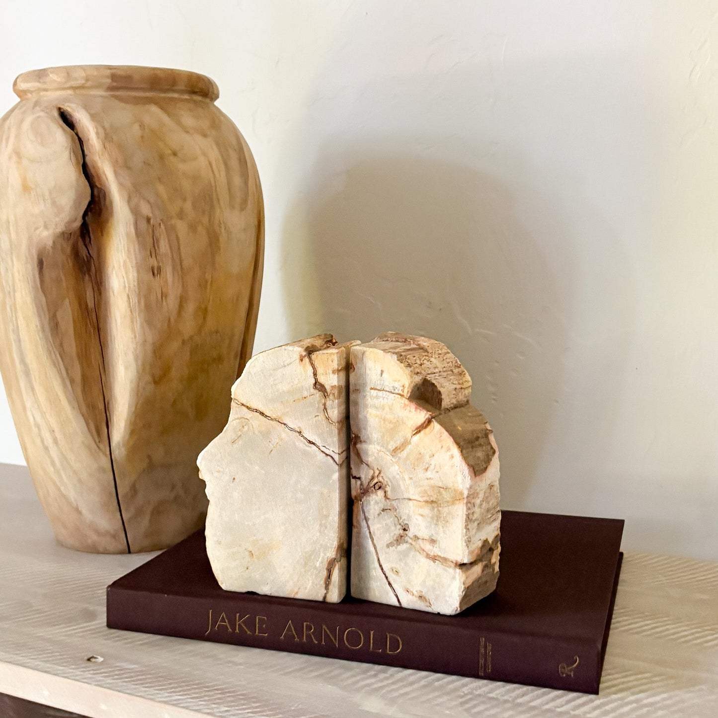 fossilized wood bookends