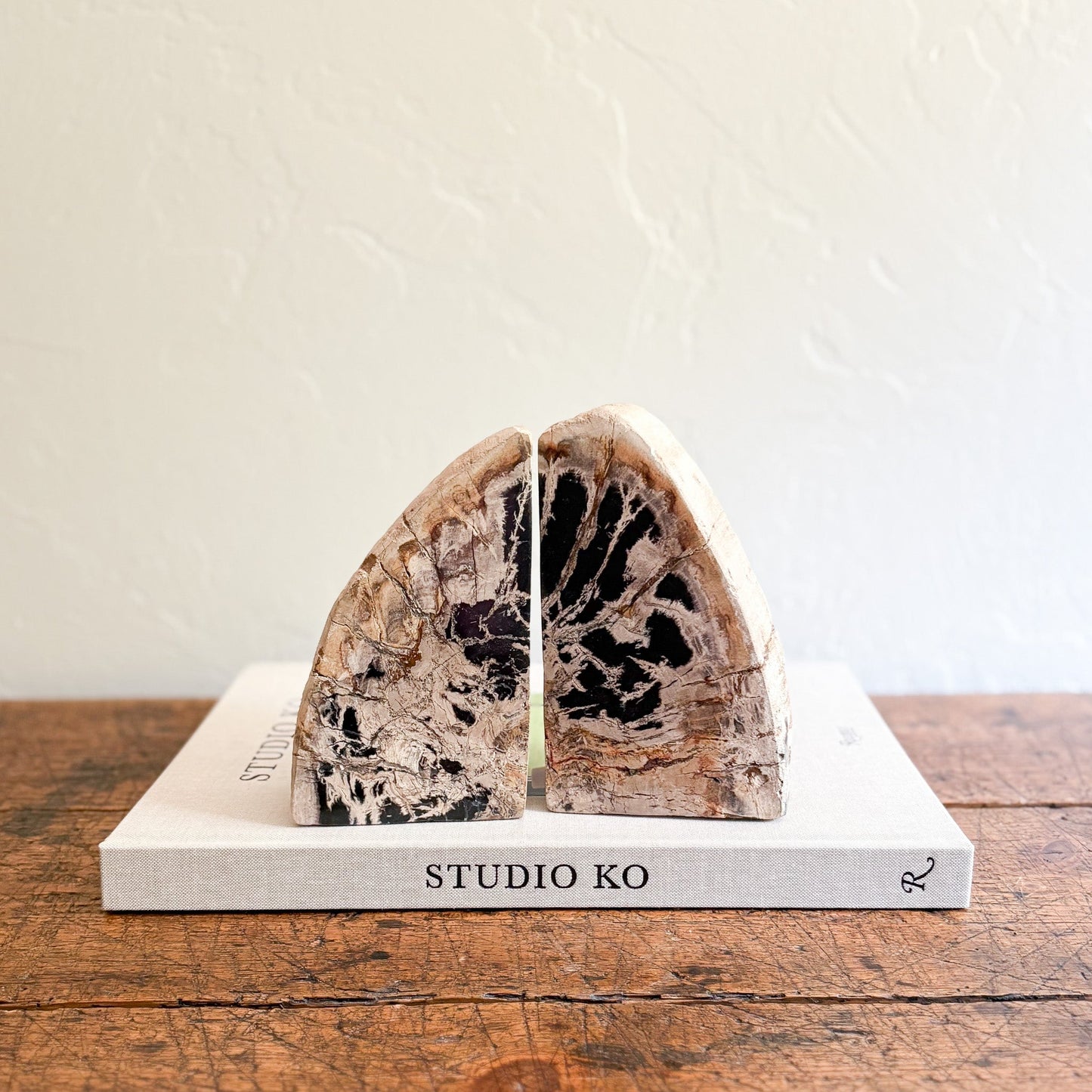 indonesian petrified wood bookend pair