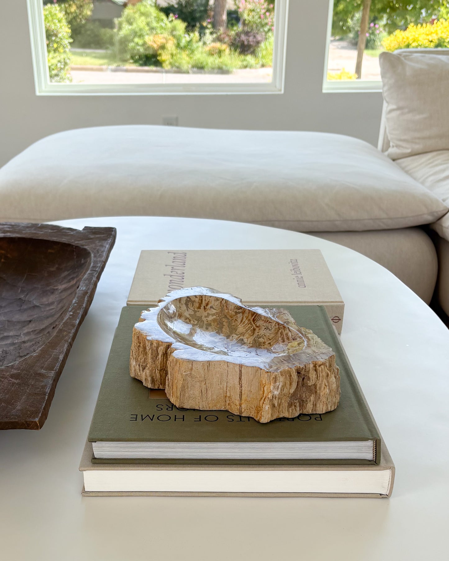 Genuine petrified wood bowl with naturally preserved wood grain and warm earth tones
