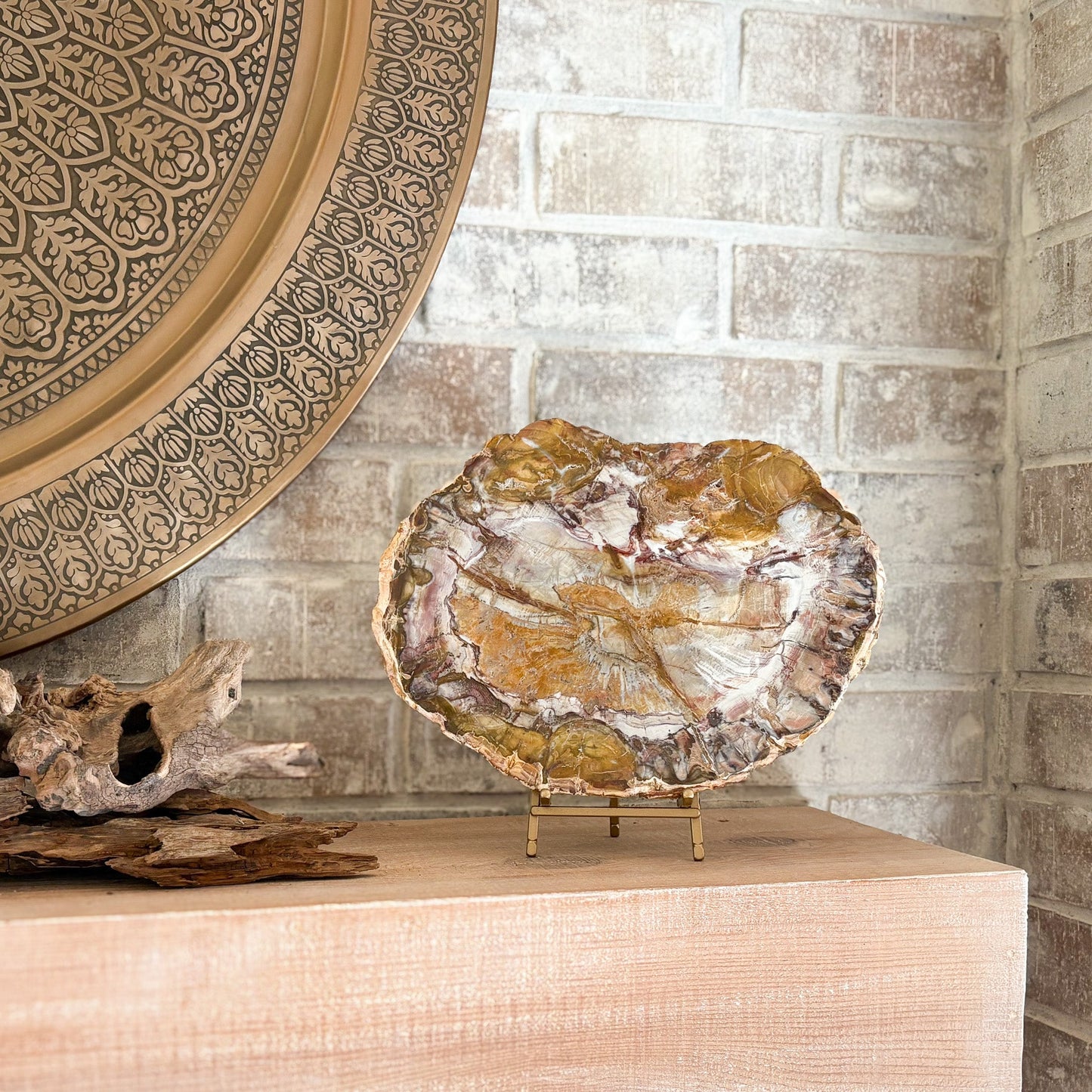 decorative fossilized wood slab on brass easel stand