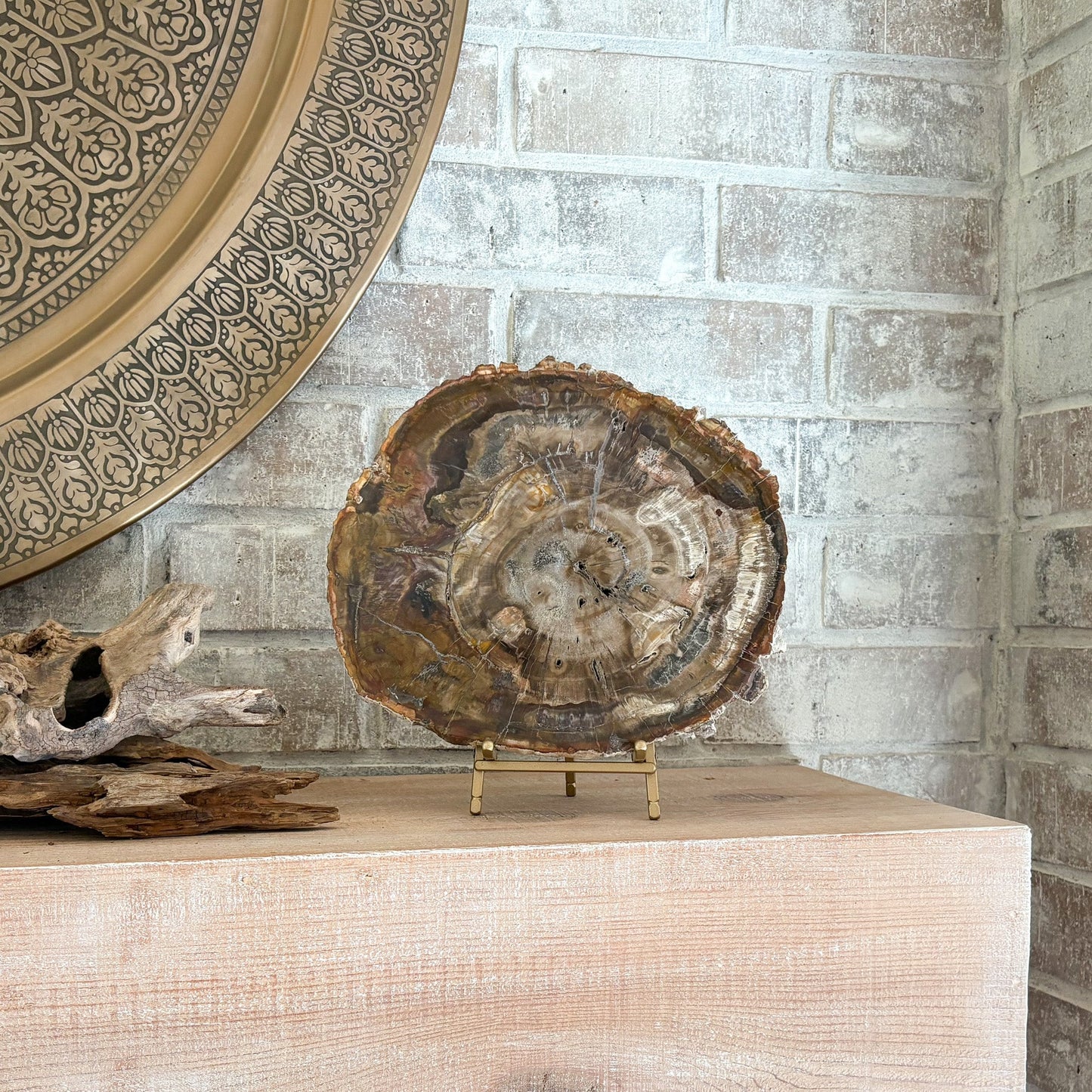 decorative petrified wood slice on stand, modern organic home decor