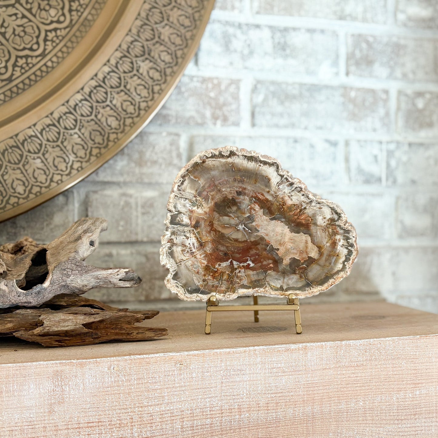 fossilized wood slab on brass easel stand