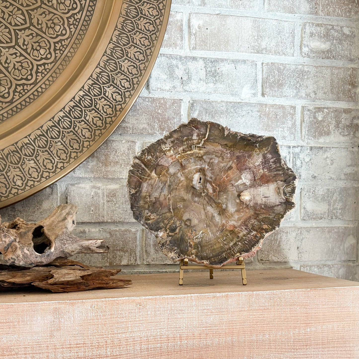 petrified wood decorative object