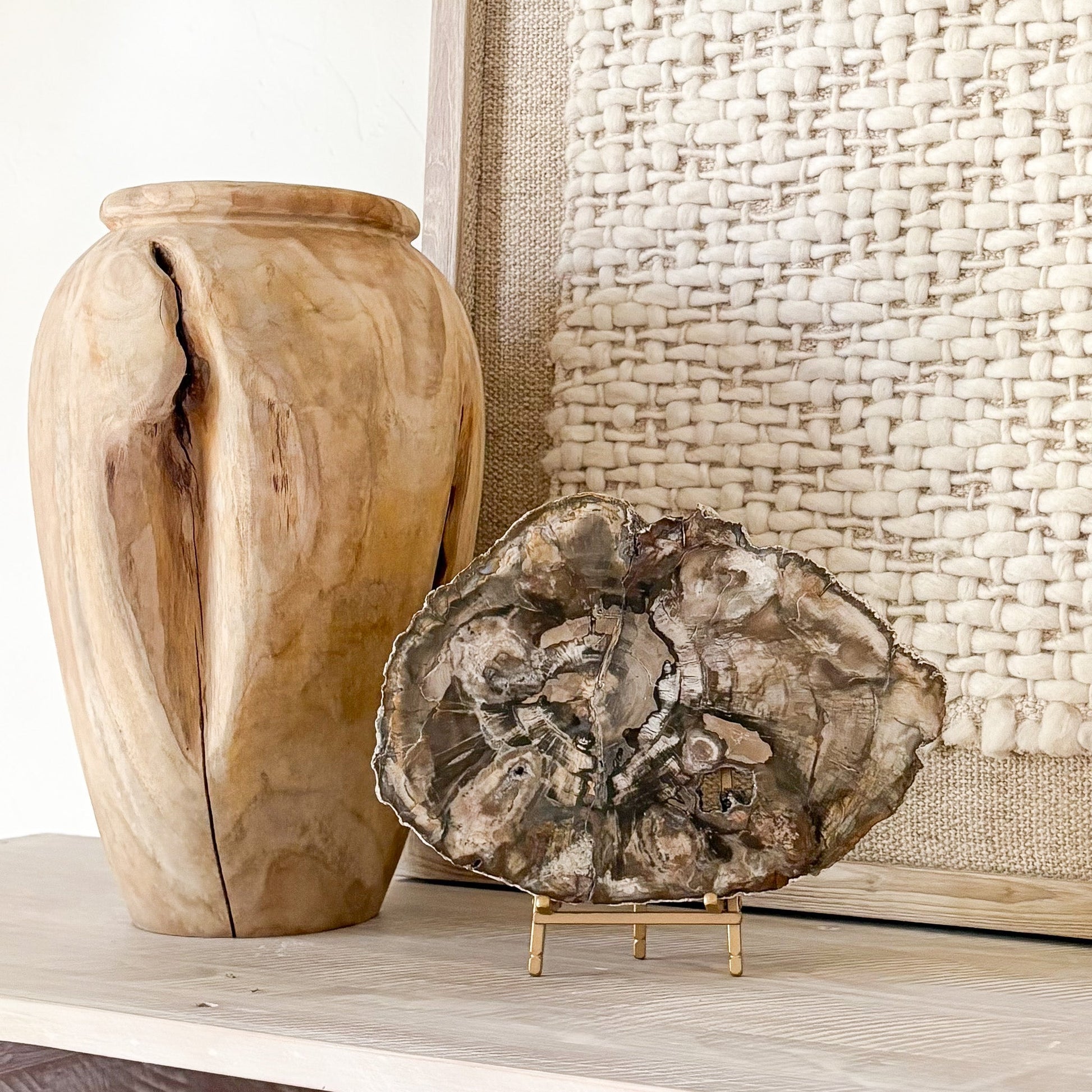 petrified wood home decor