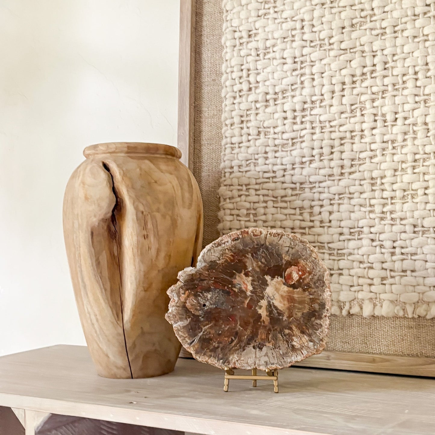 natural fossilized wood slab on stand