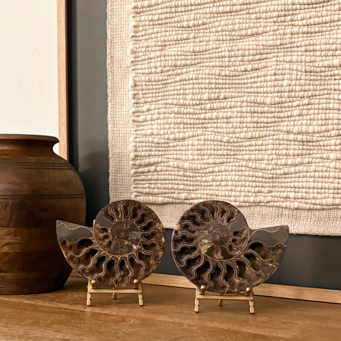 Statement Madagascar ammonite fossil accent combining ancient beauty with contemporary luxury decor