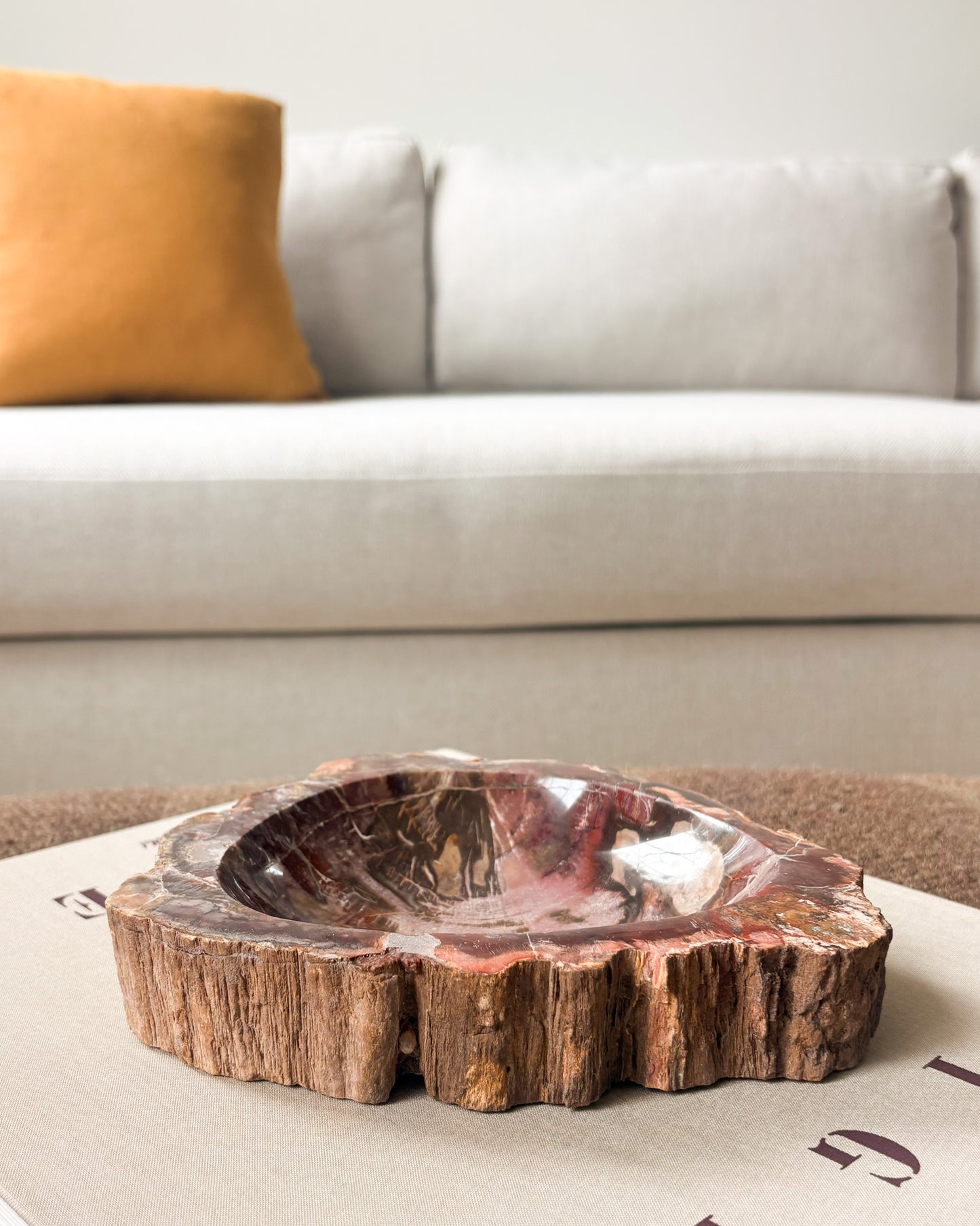 Fossilized wood bowl with natural earthy tones