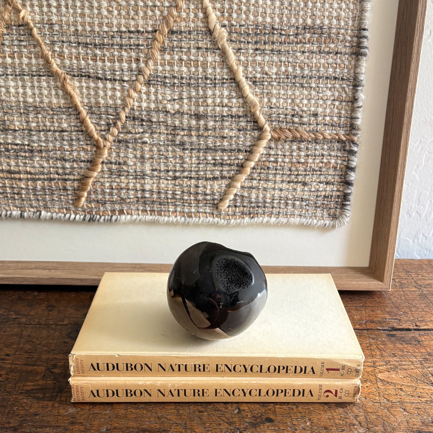 madagascar septarian egg