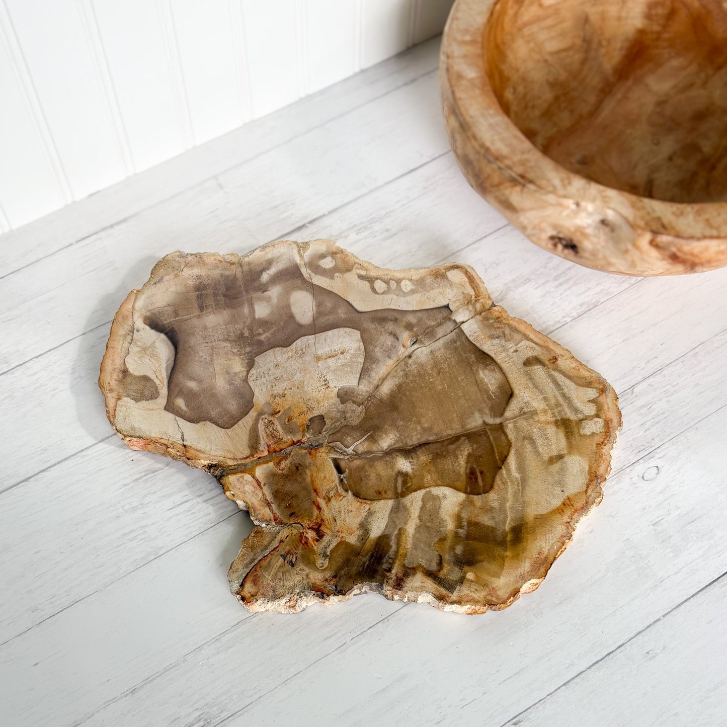 modern organic kitchen accents