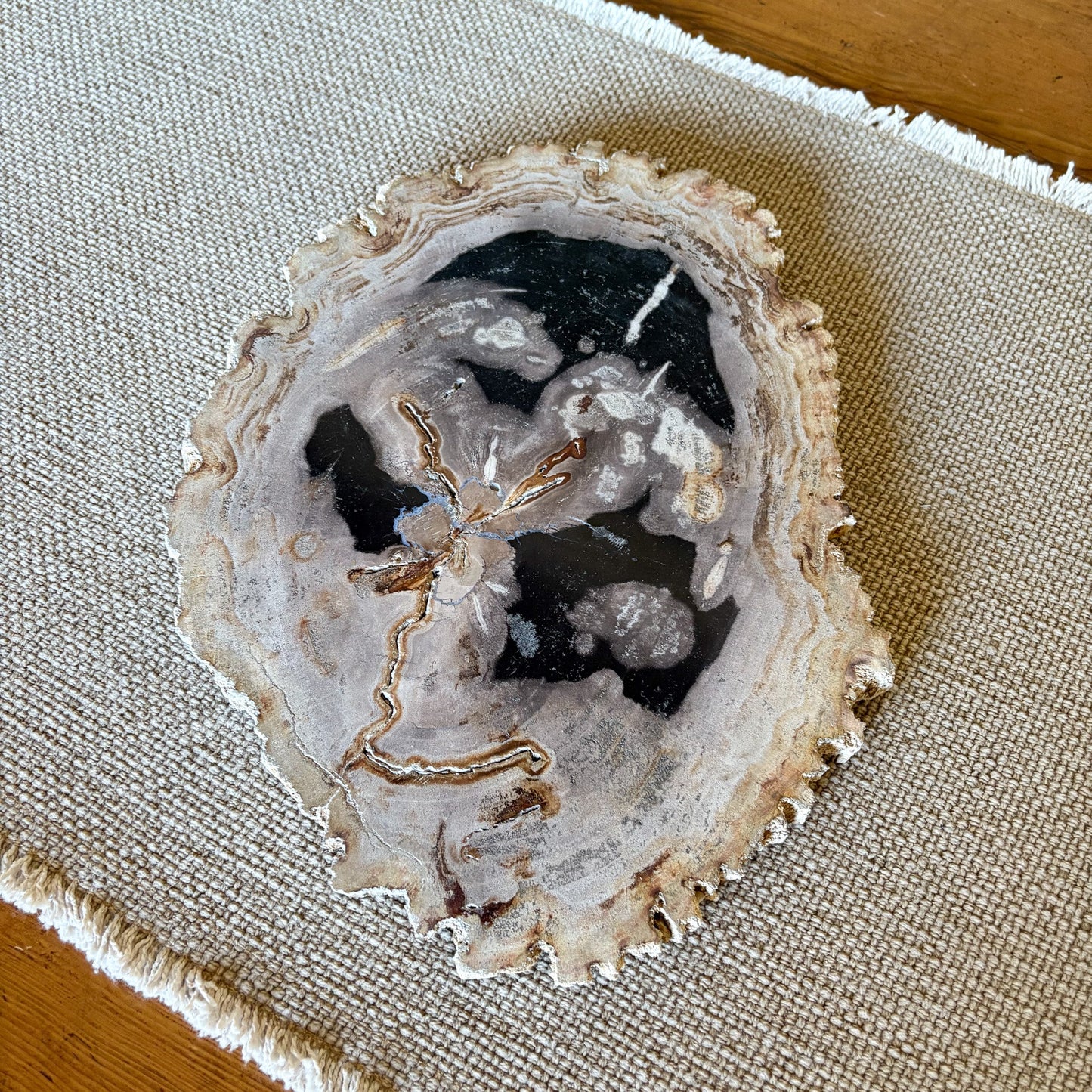 indonesian petrified wood serving platter
