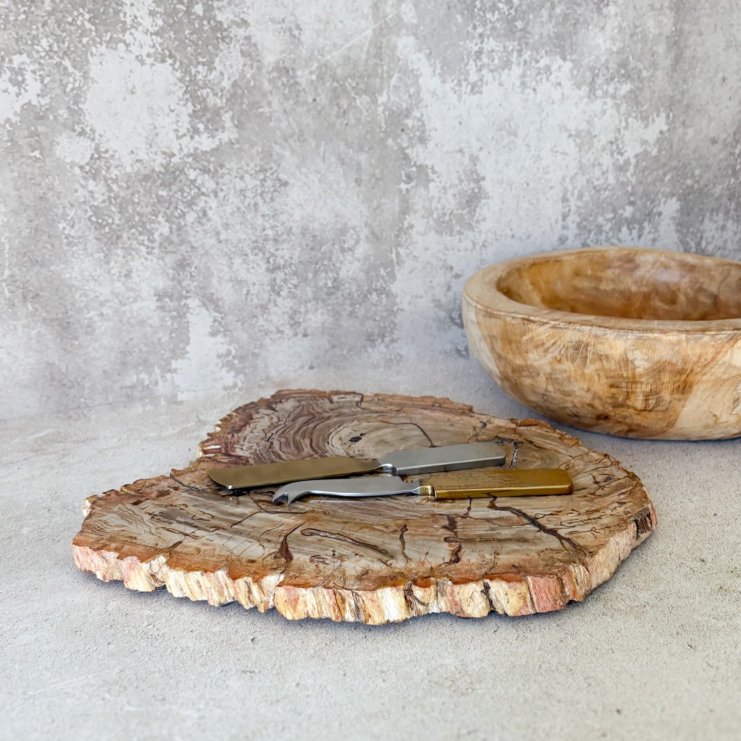 indonesian petrified wood serving tray