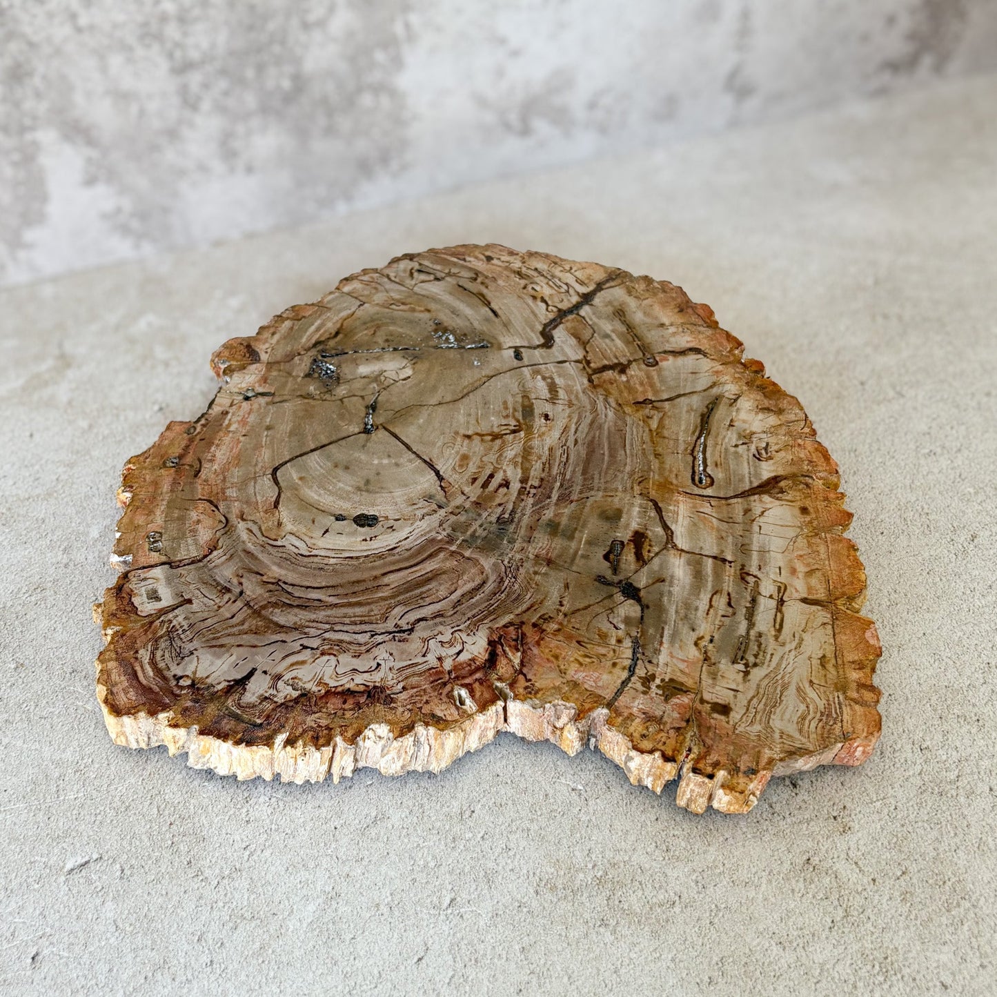 indonesian petrified wood chacuterie board, natural home accents
