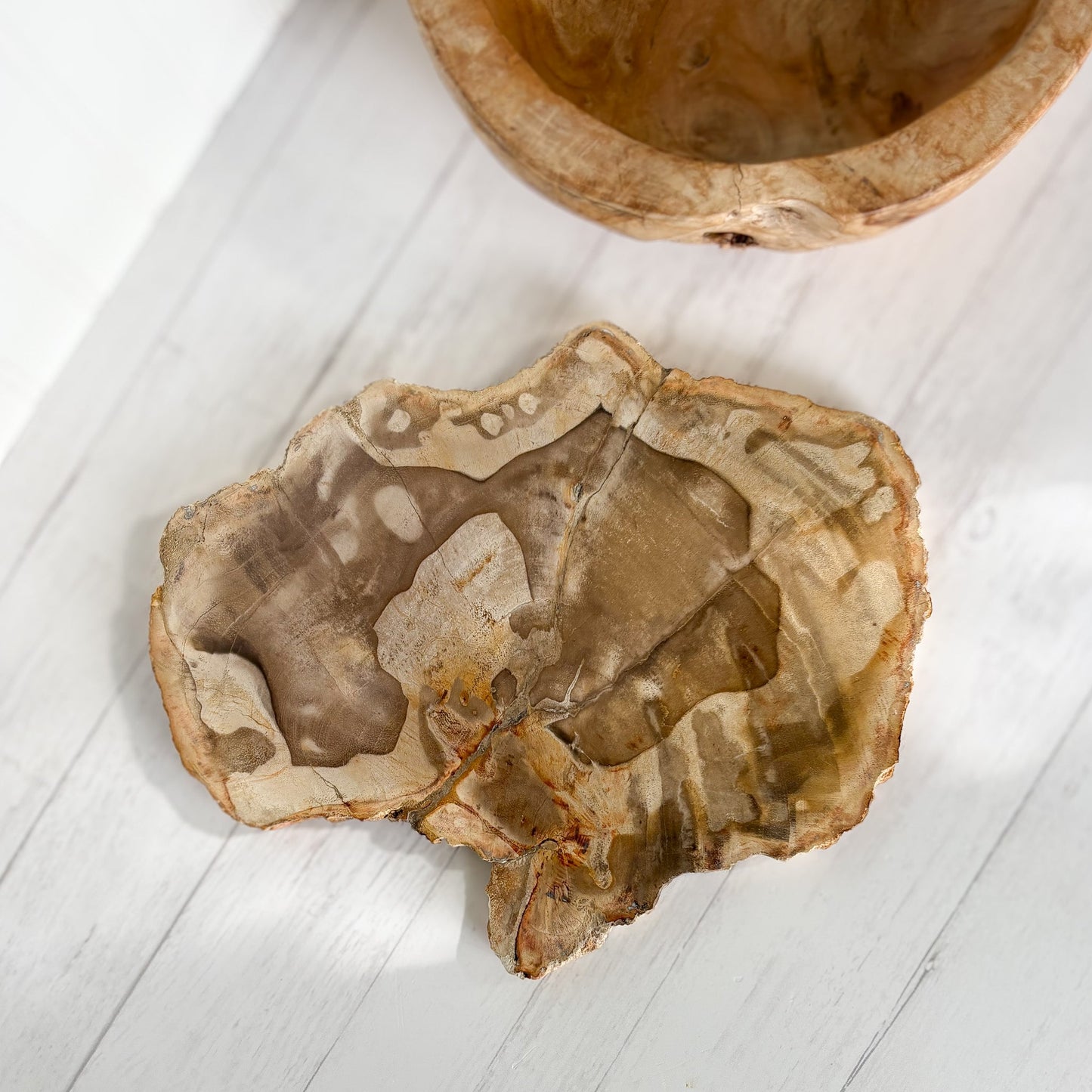 modern organic home accents