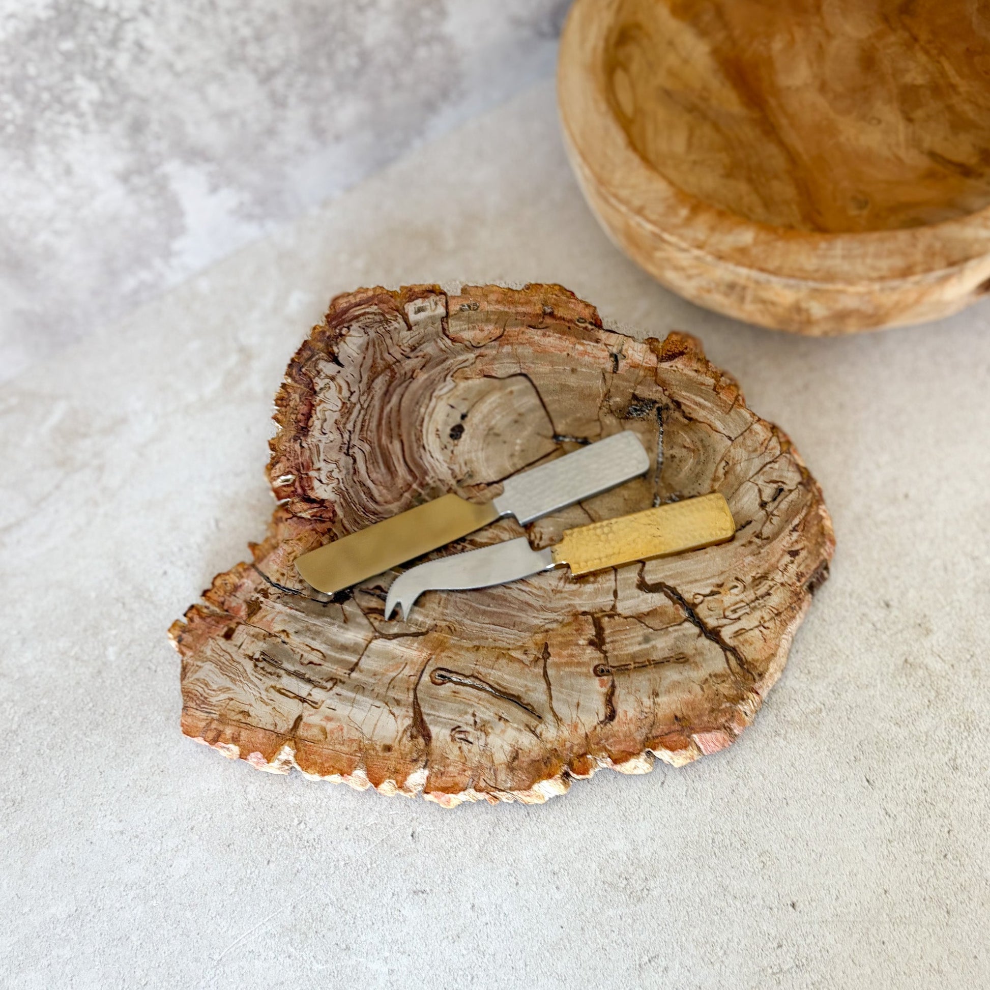 petrified wood serving platter