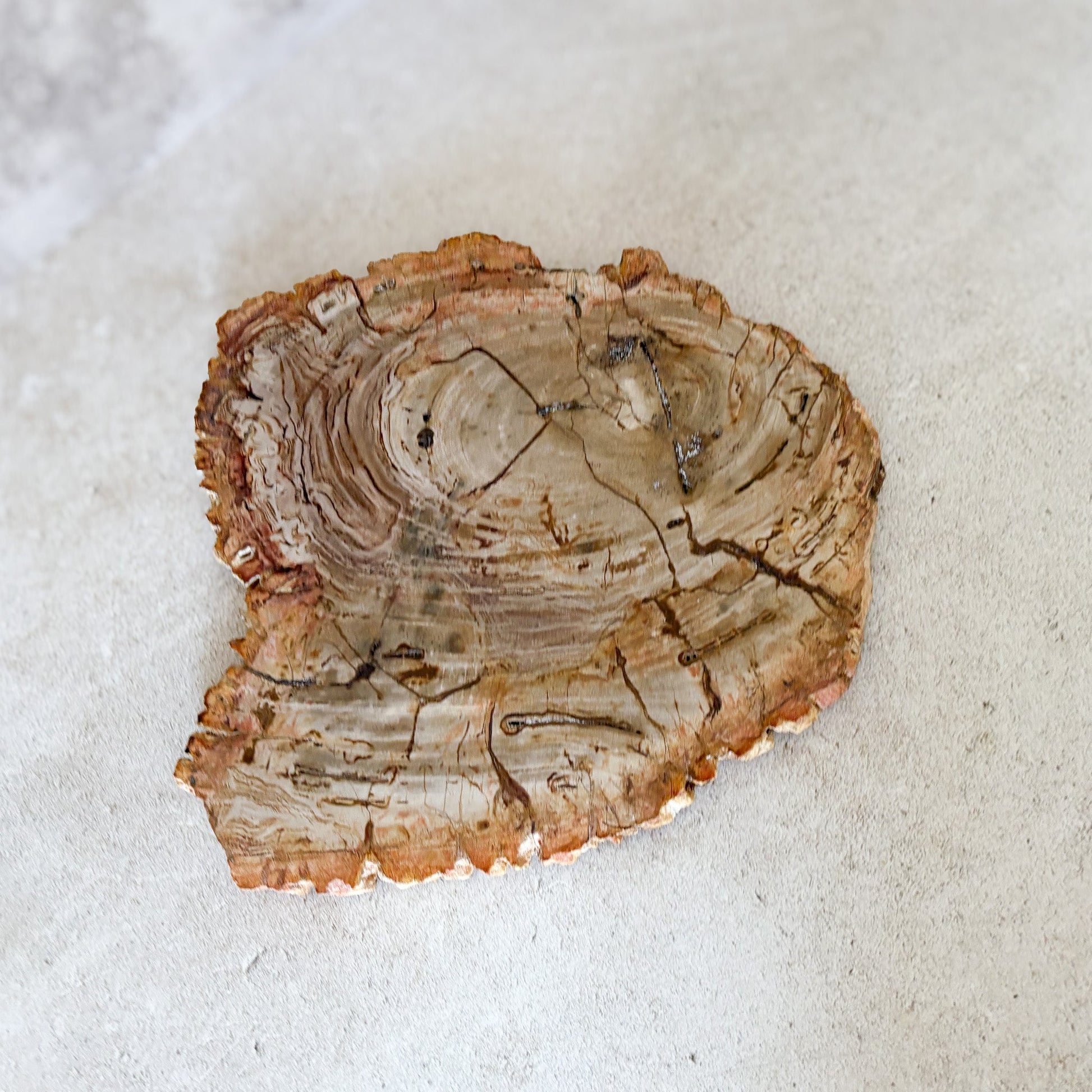 indonesian petrified wood charcuterie board
