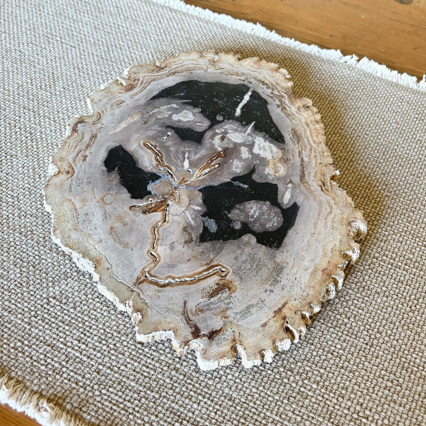 indonesian petrified wood charcuterie board