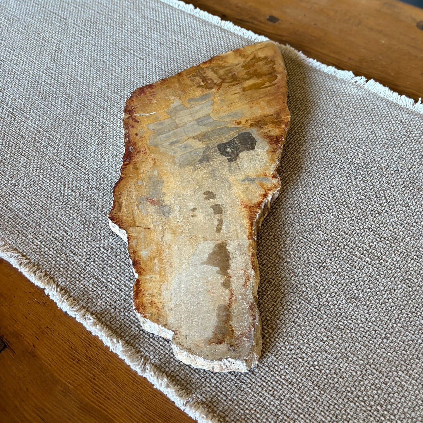 petrified wood charcuterie board