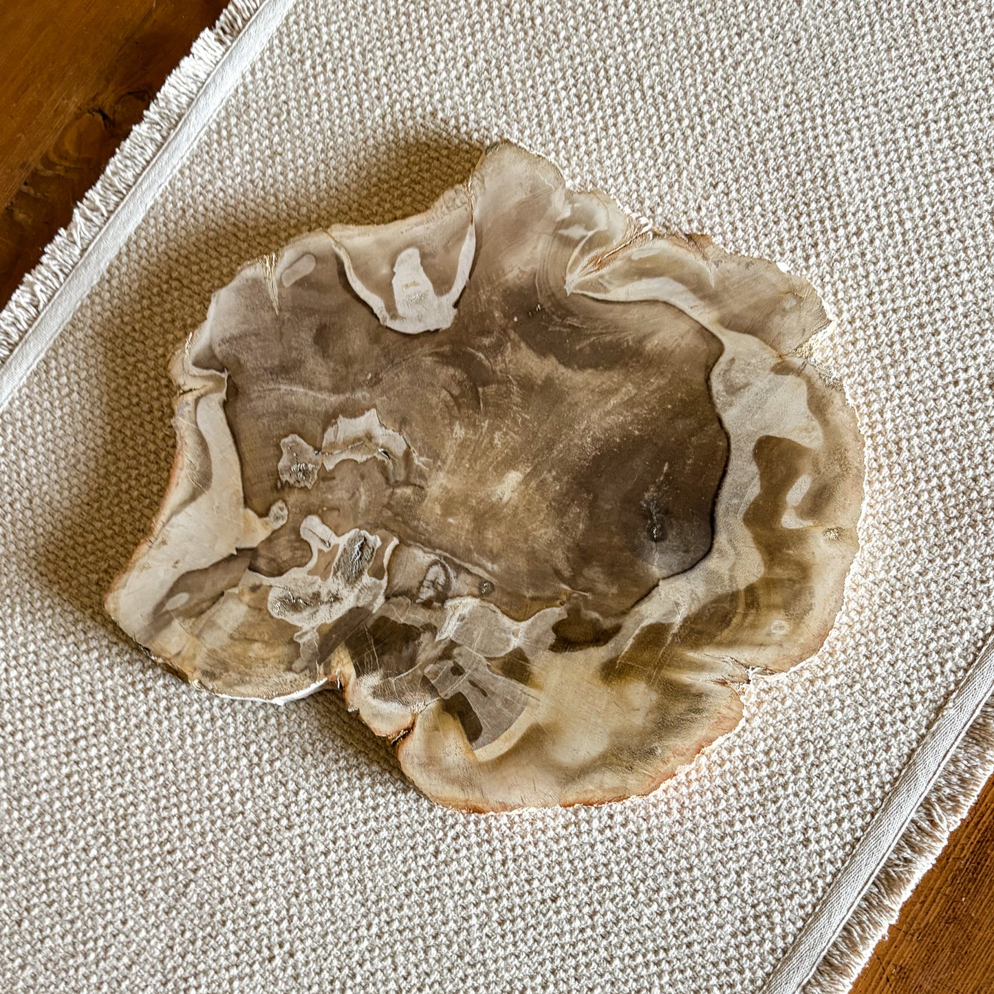 Natural Indonesian petrified wood charcuterie board with durable polished surface
