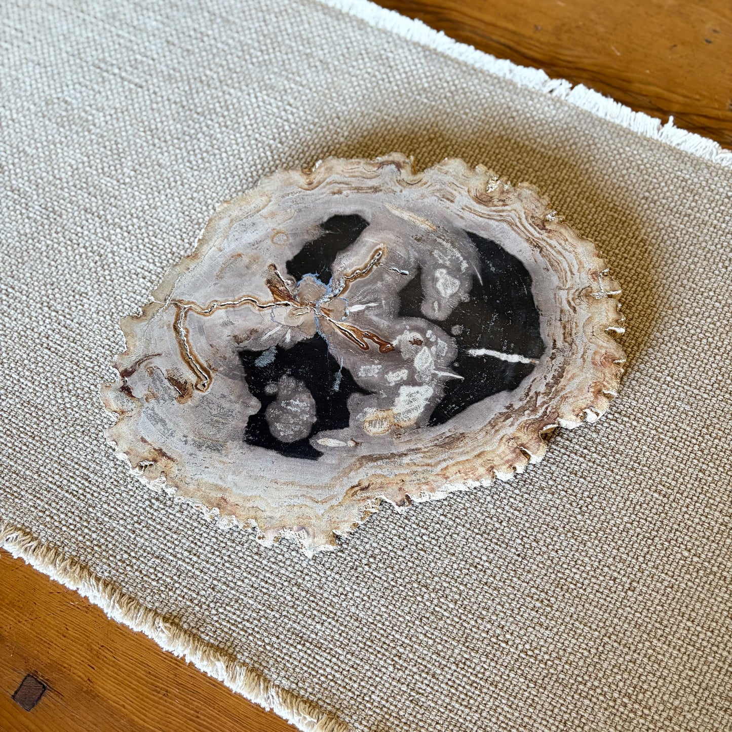 indonesian petrified wood cheese board, modern organic home decor