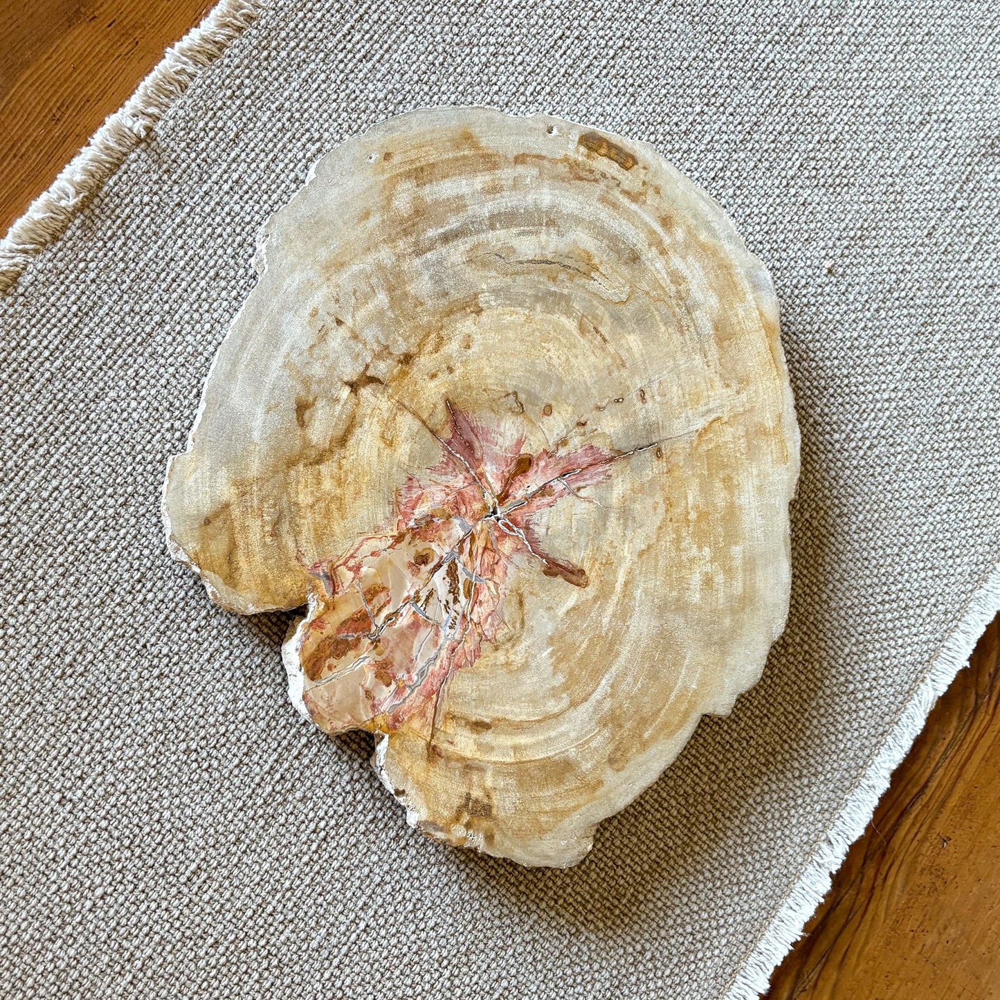petrified wood serving platter, natural stone serving tray