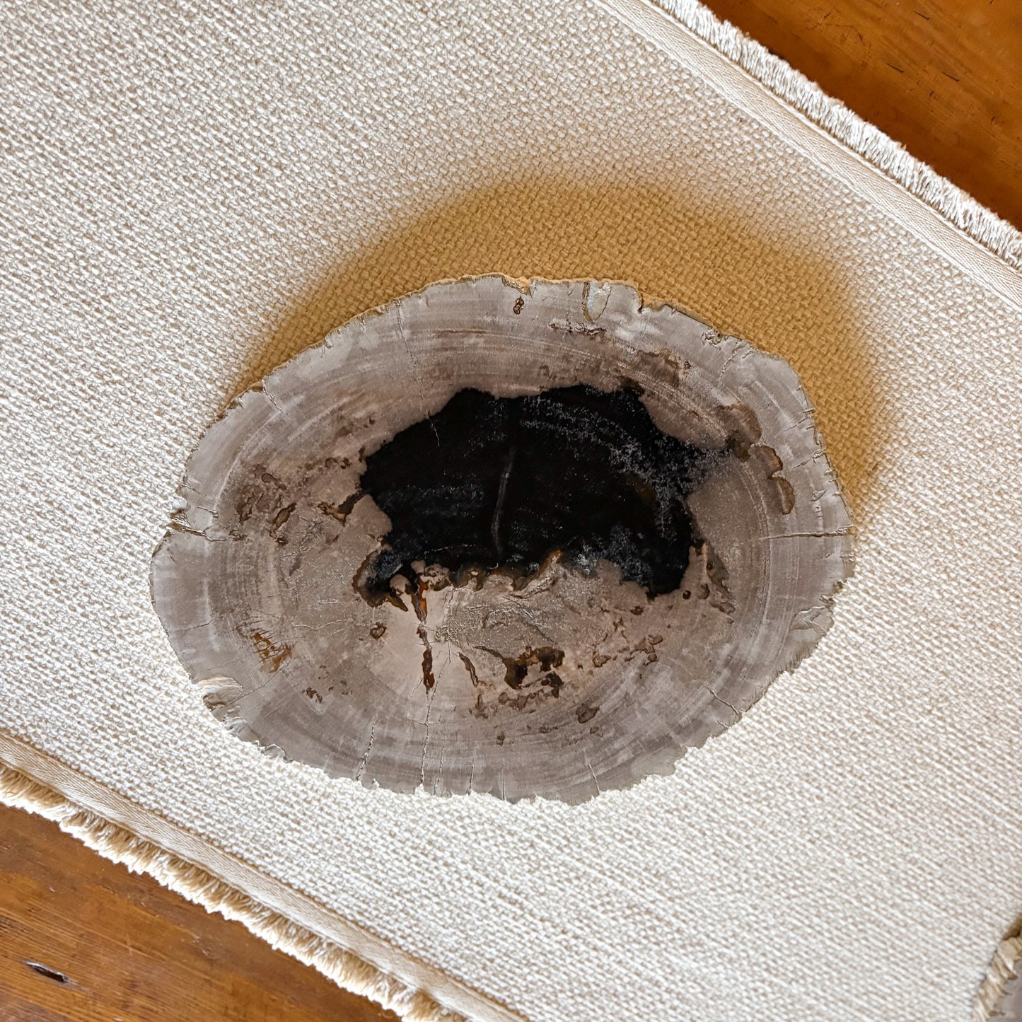 fossilized wood chracuterie board