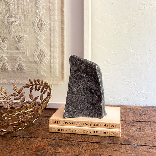 Decorative stone on top of Audubon Nature Encyclopedia books with a textured wall in the background