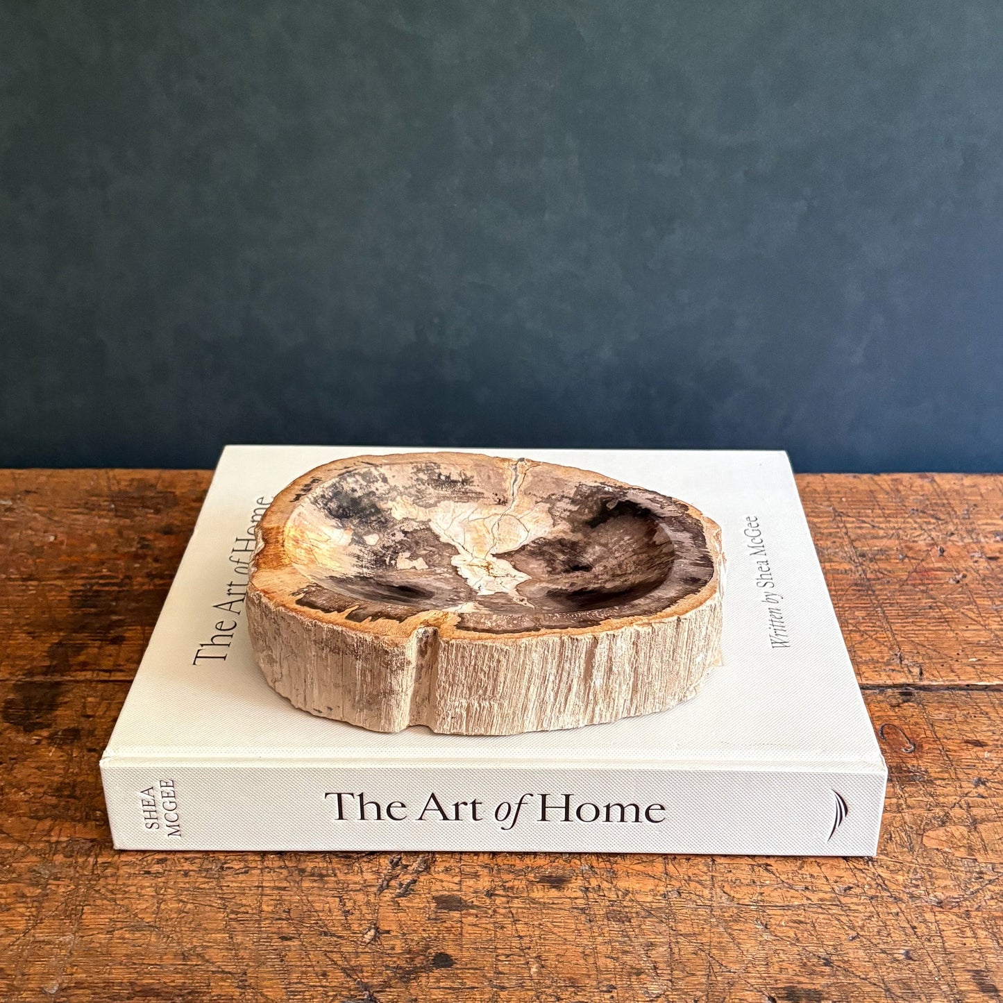 Small Indonesian Petrified Wood Bowl