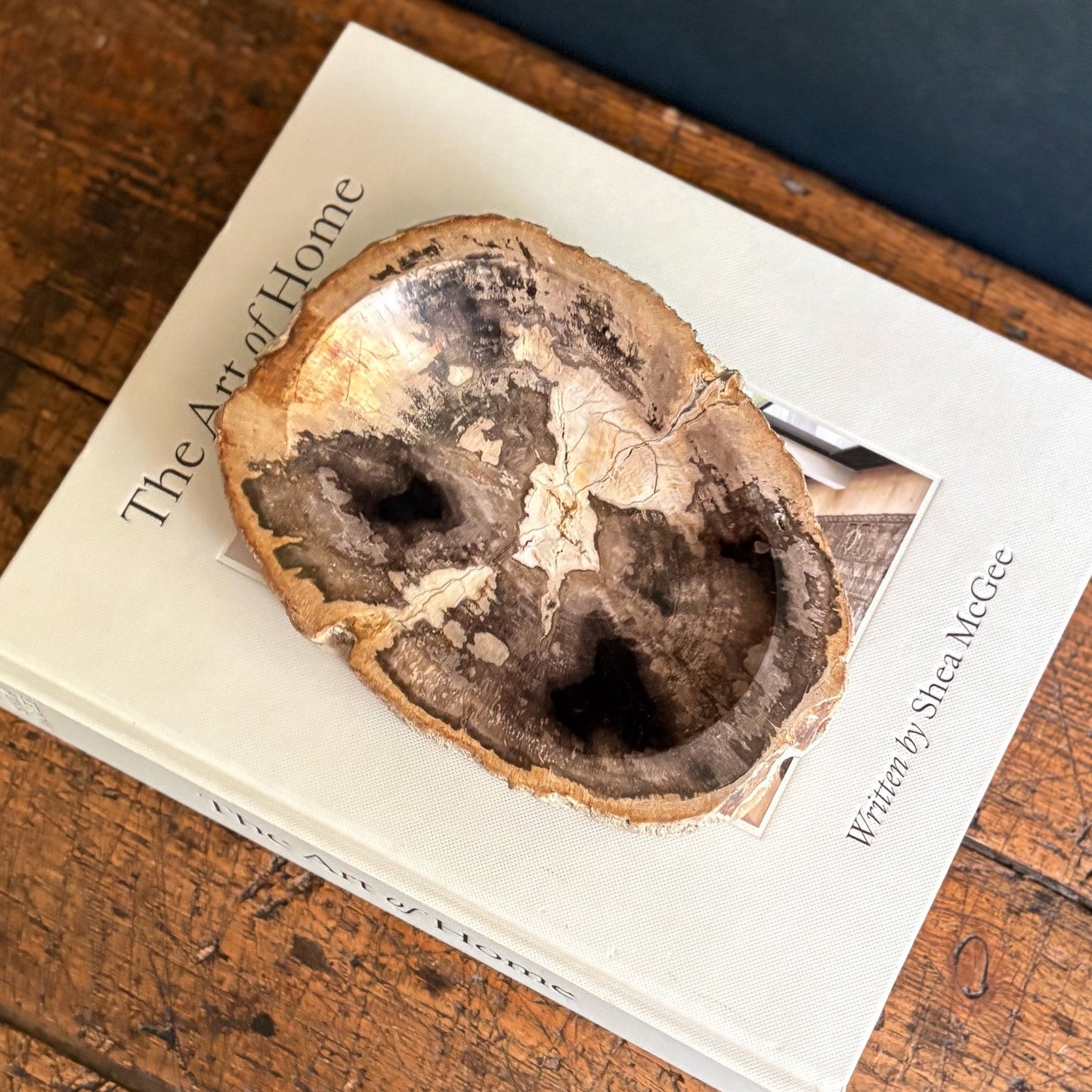 Small Indonesian Petrified Wood Bowl