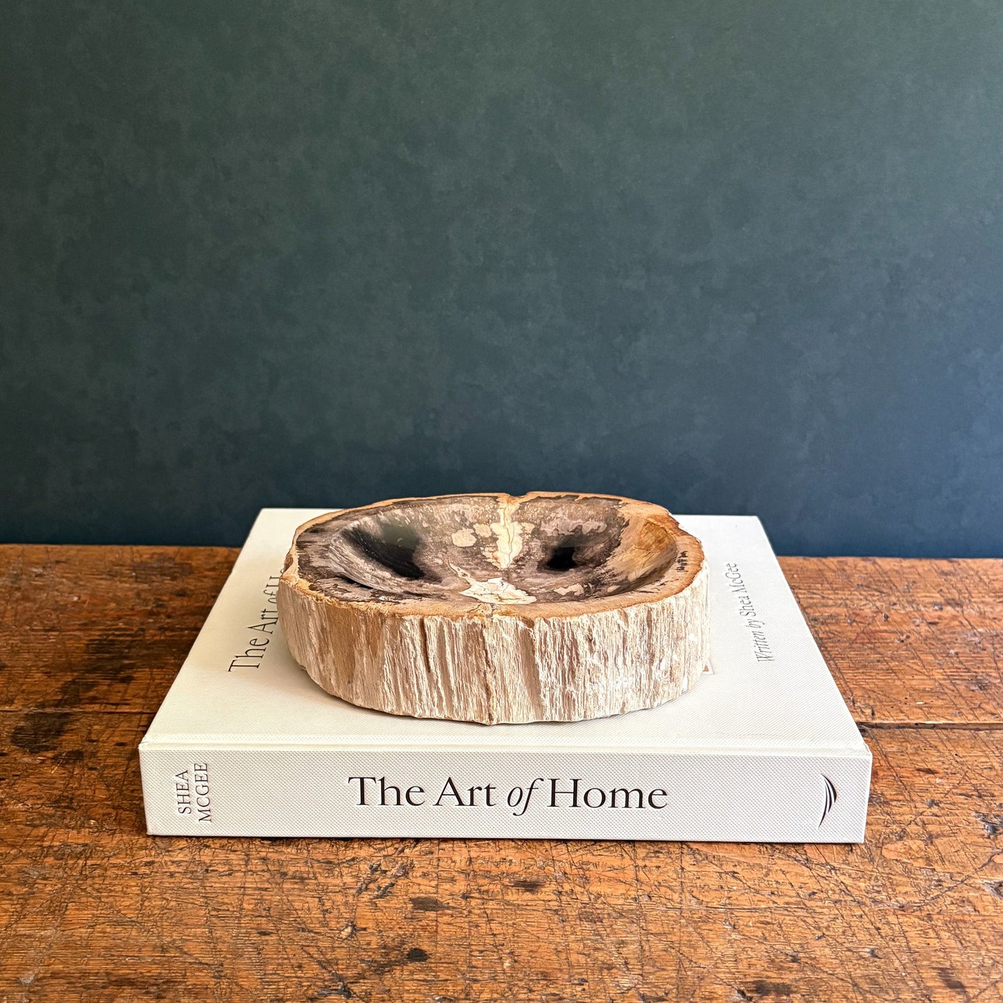 Small Indonesian Petrified Wood Bowl
