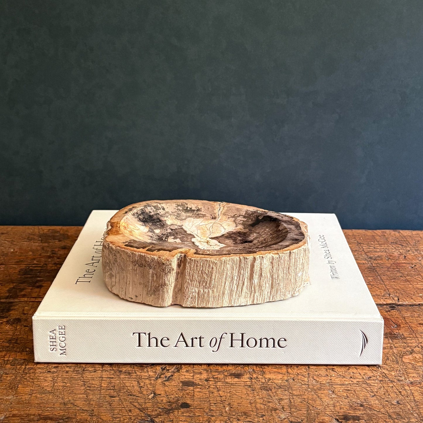 Small Indonesian Petrified Wood Bowl