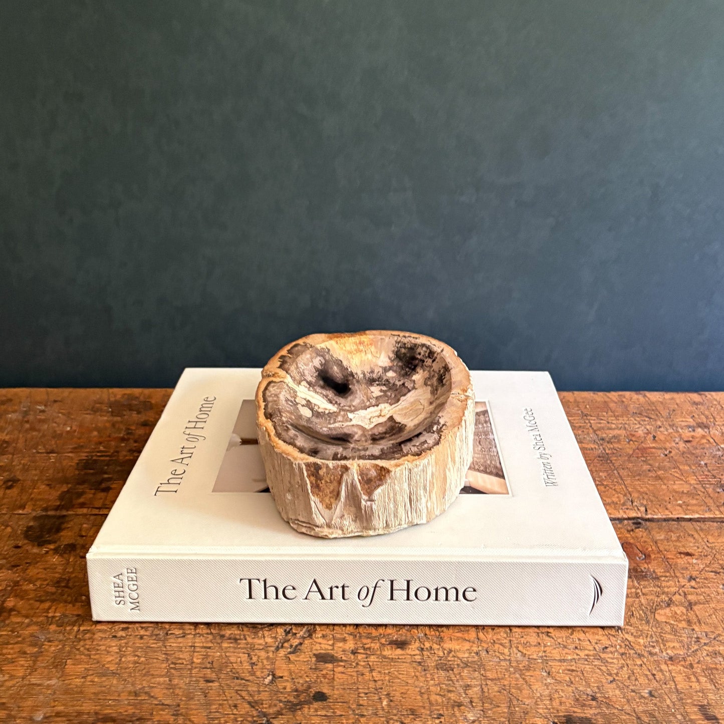 Small Indonesian Petrified Wood Bowl