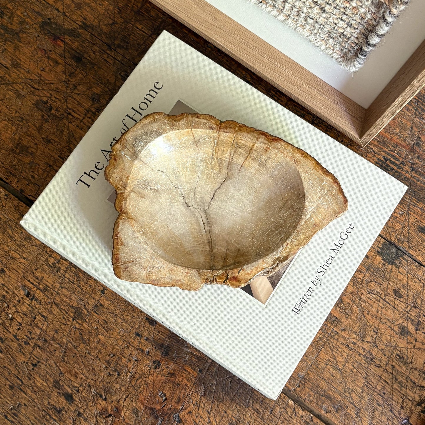 petrified wood coffee table bowl