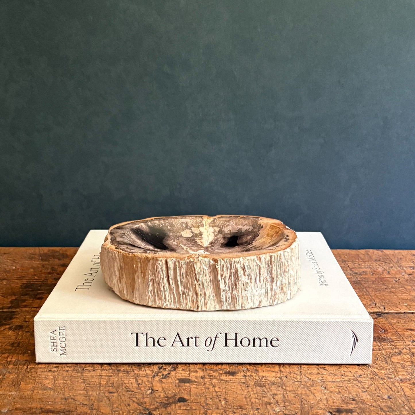 Small Indonesian Petrified Wood Bowl