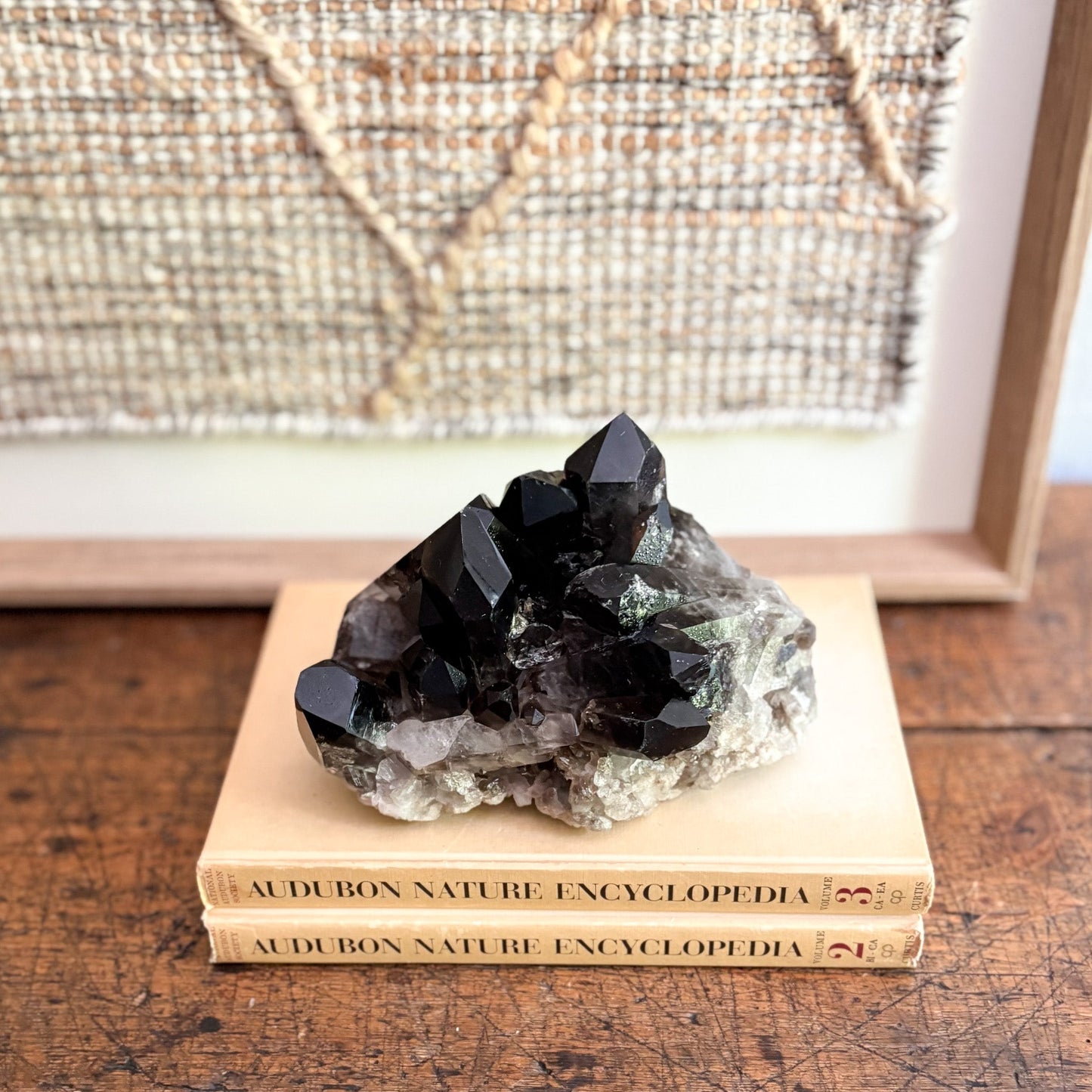 Decorative crystal on top of two 'Audubon Nature Encyclopedia' books with a textured wall in the background.