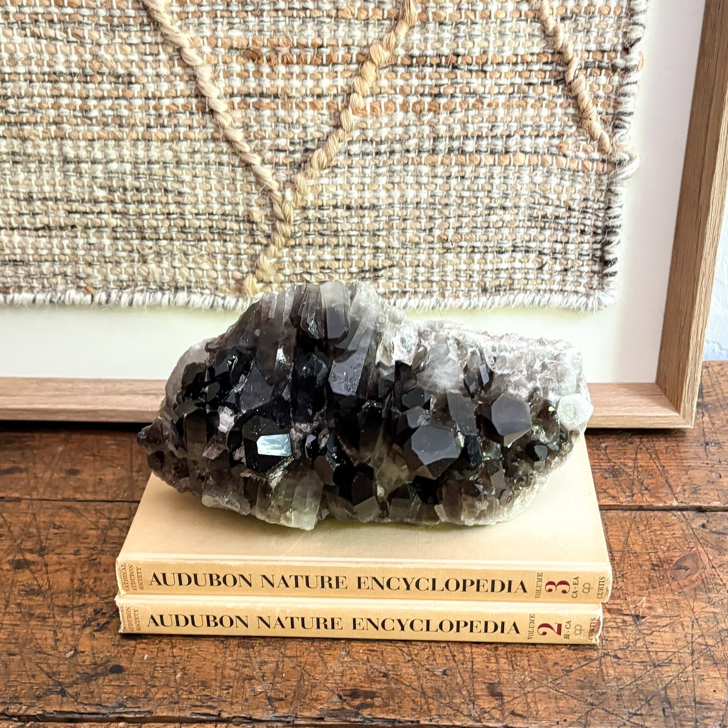 Smoky crystal on top of two 'Audubon Nature Encyclopedia' books with a textured wall in the background.