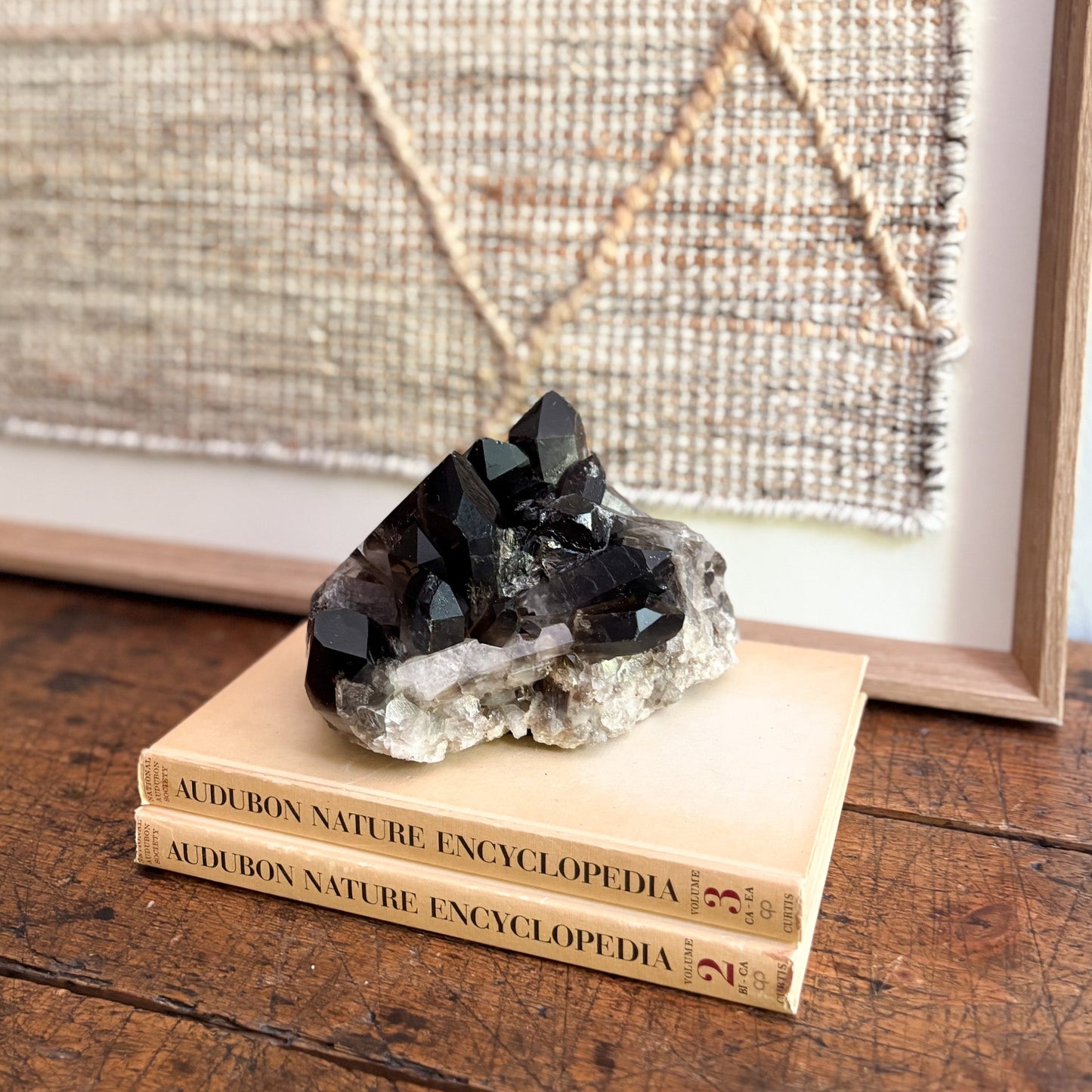 Crystal cluster on top of two Audubon Nature Encyclopedia books with a framed picture in the background.