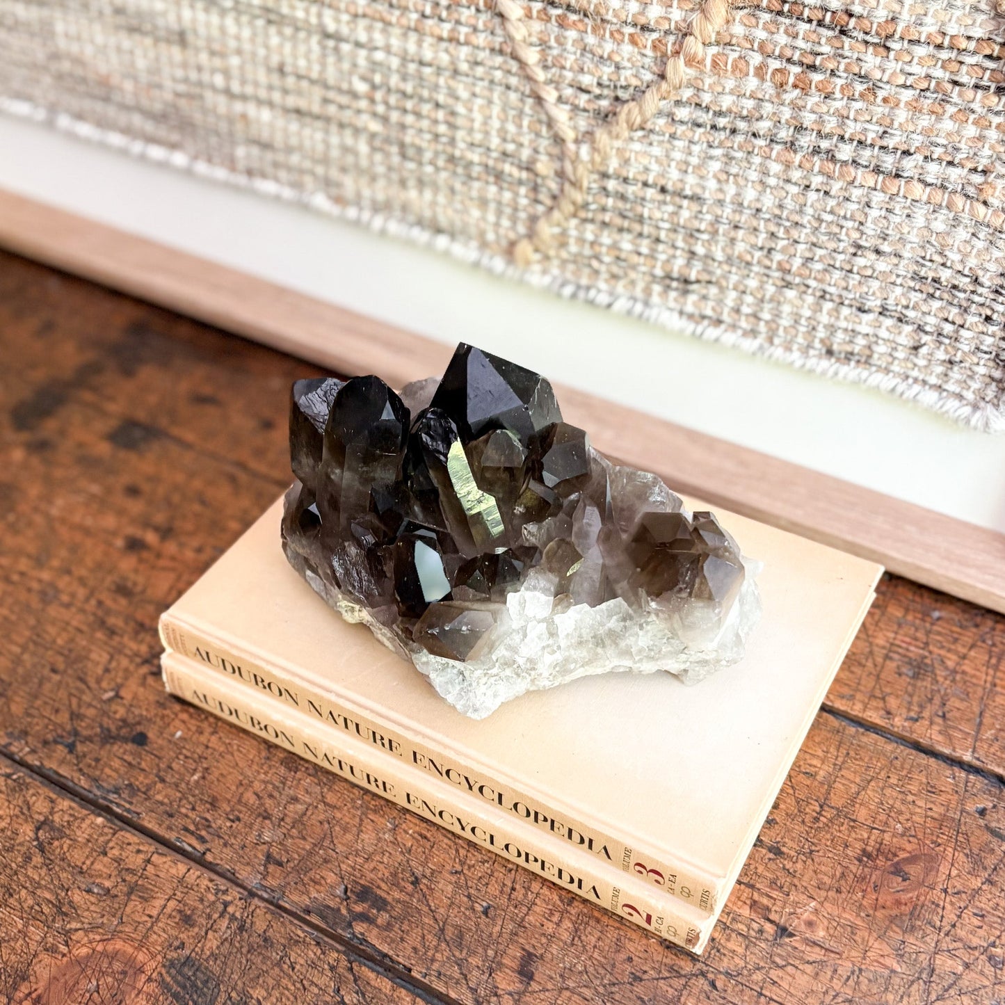 modern organic home decor
