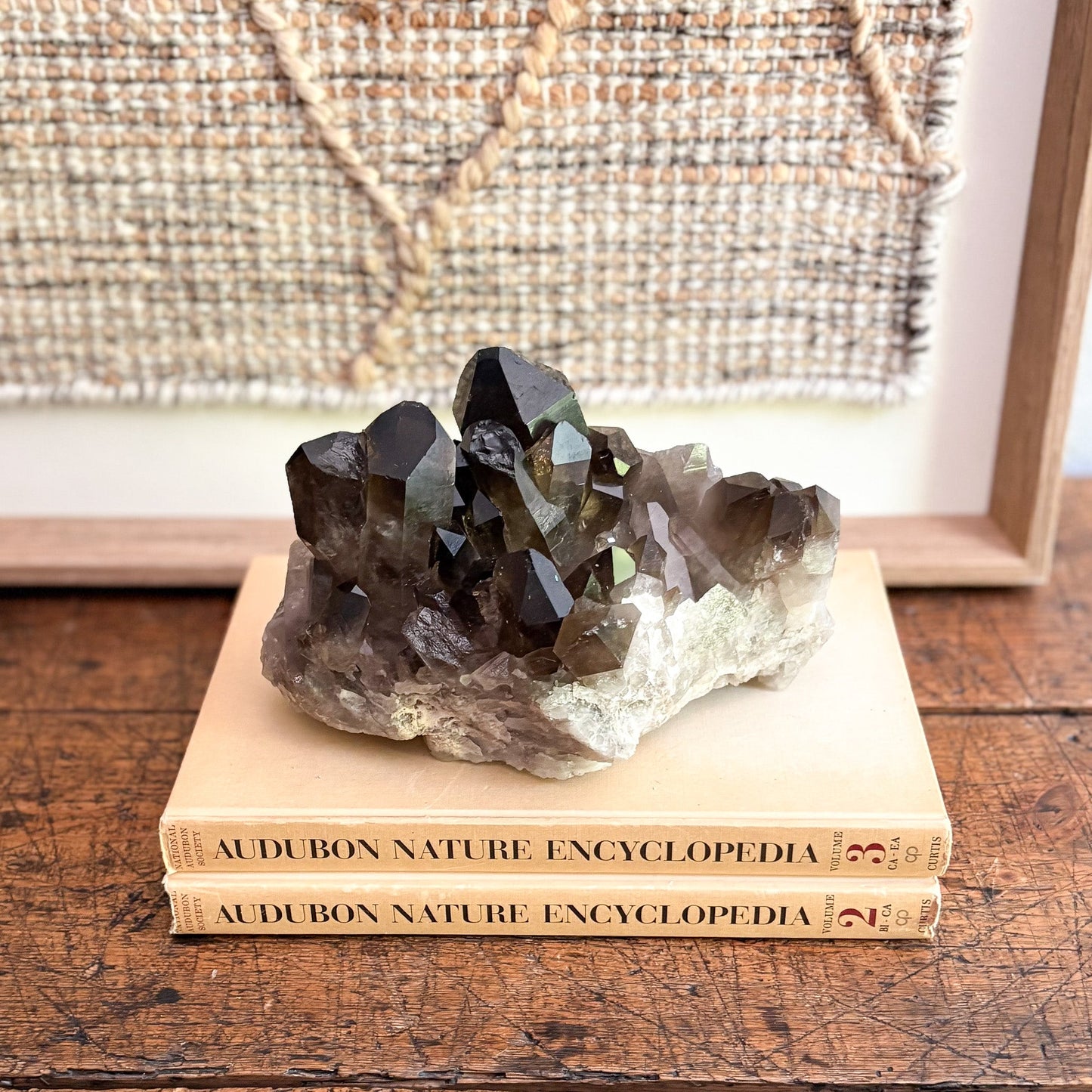 modern organic home accents