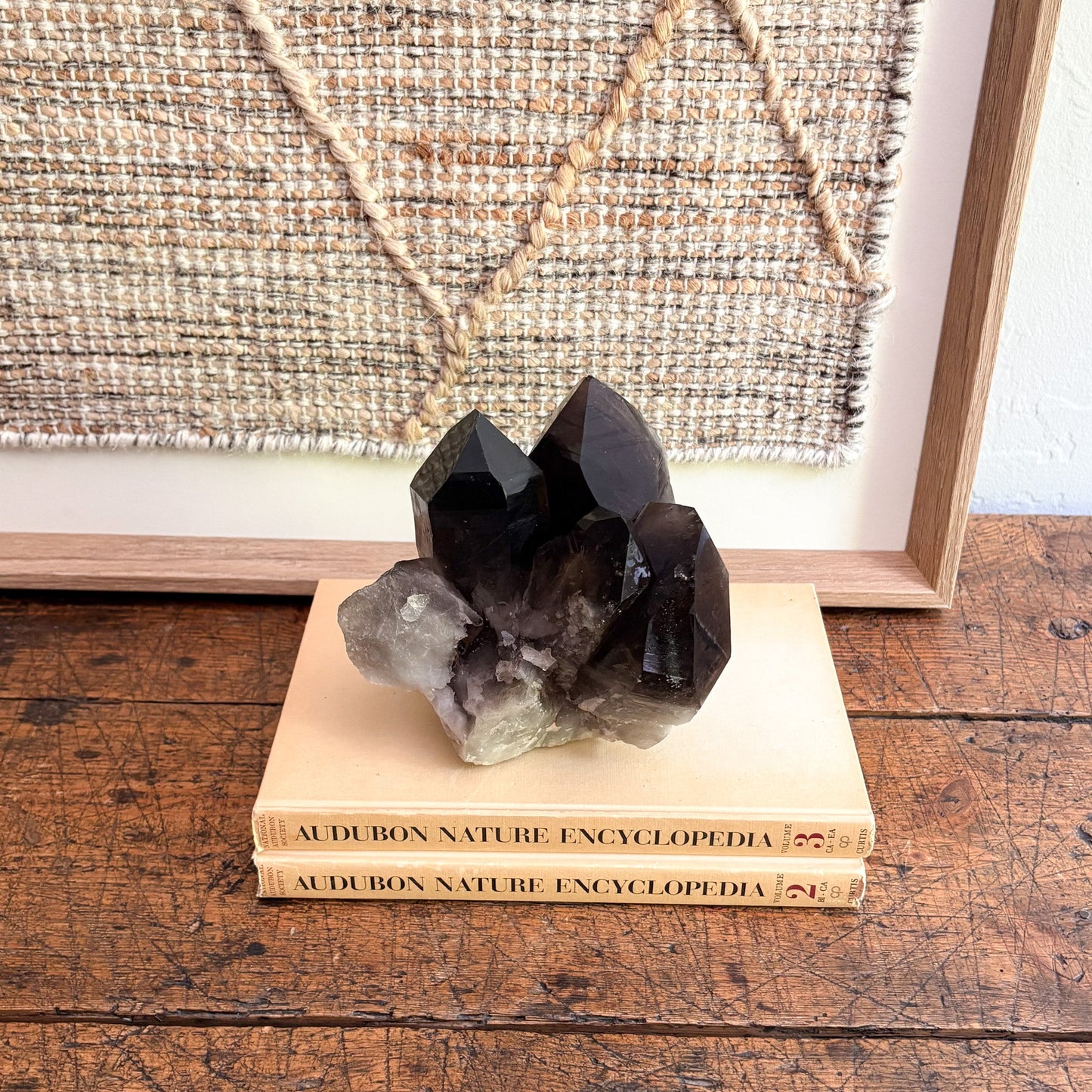 modern organic home accents