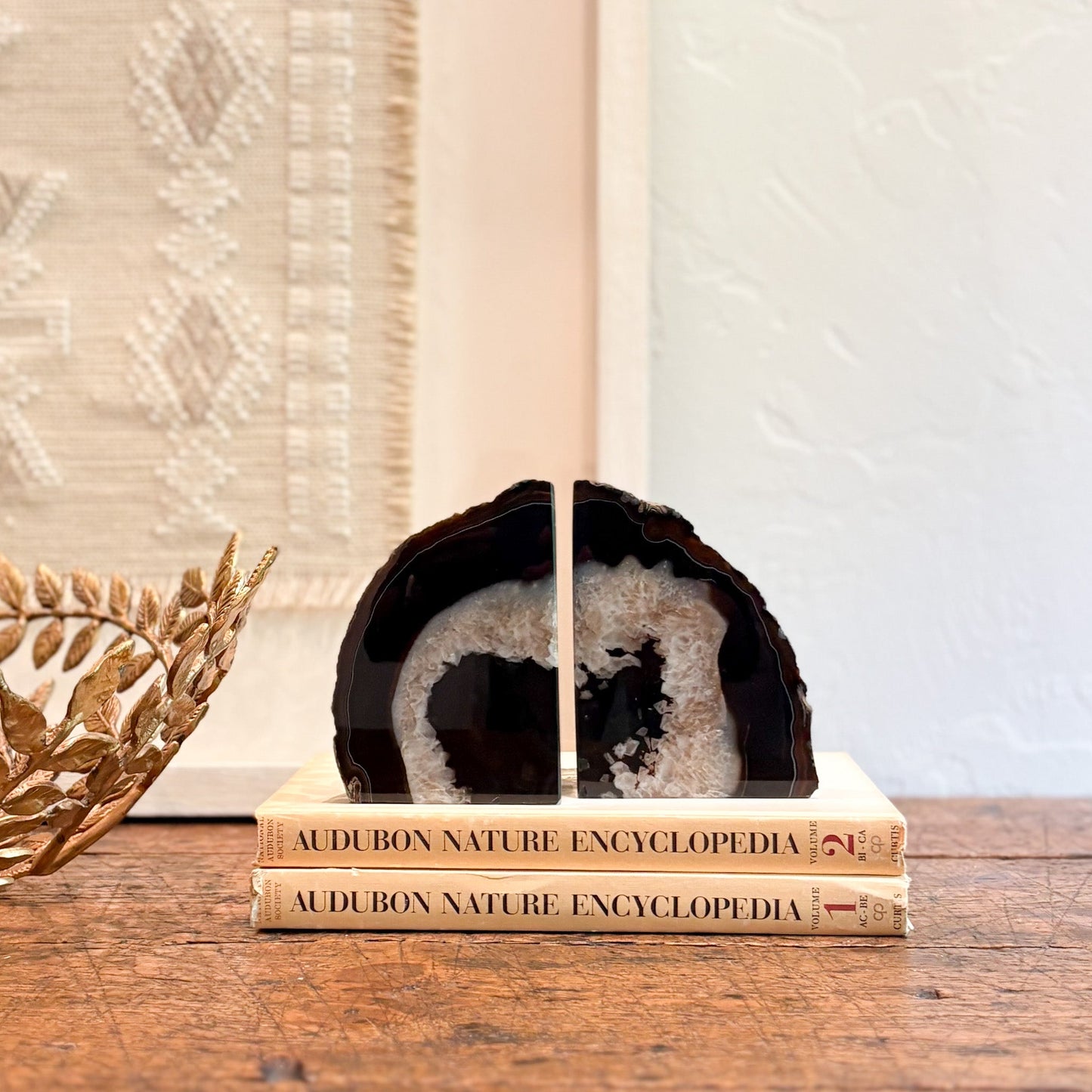Geode bookends on top of Audubon Nature Encyclopedia books with a decorative plant on a wooden surface.