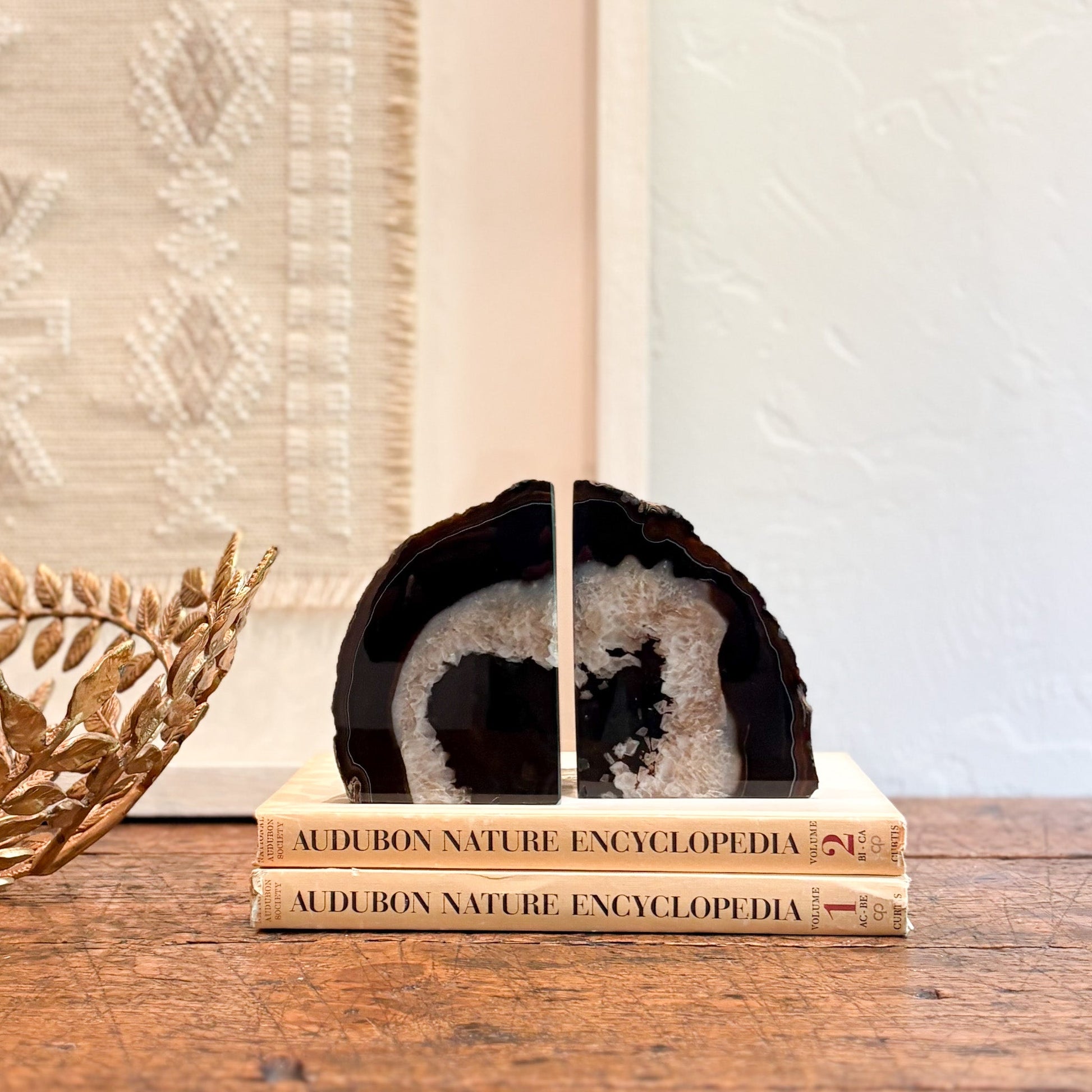 Geode bookends on top of Audubon Nature Encyclopedia books with a decorative plant on a wooden surface.