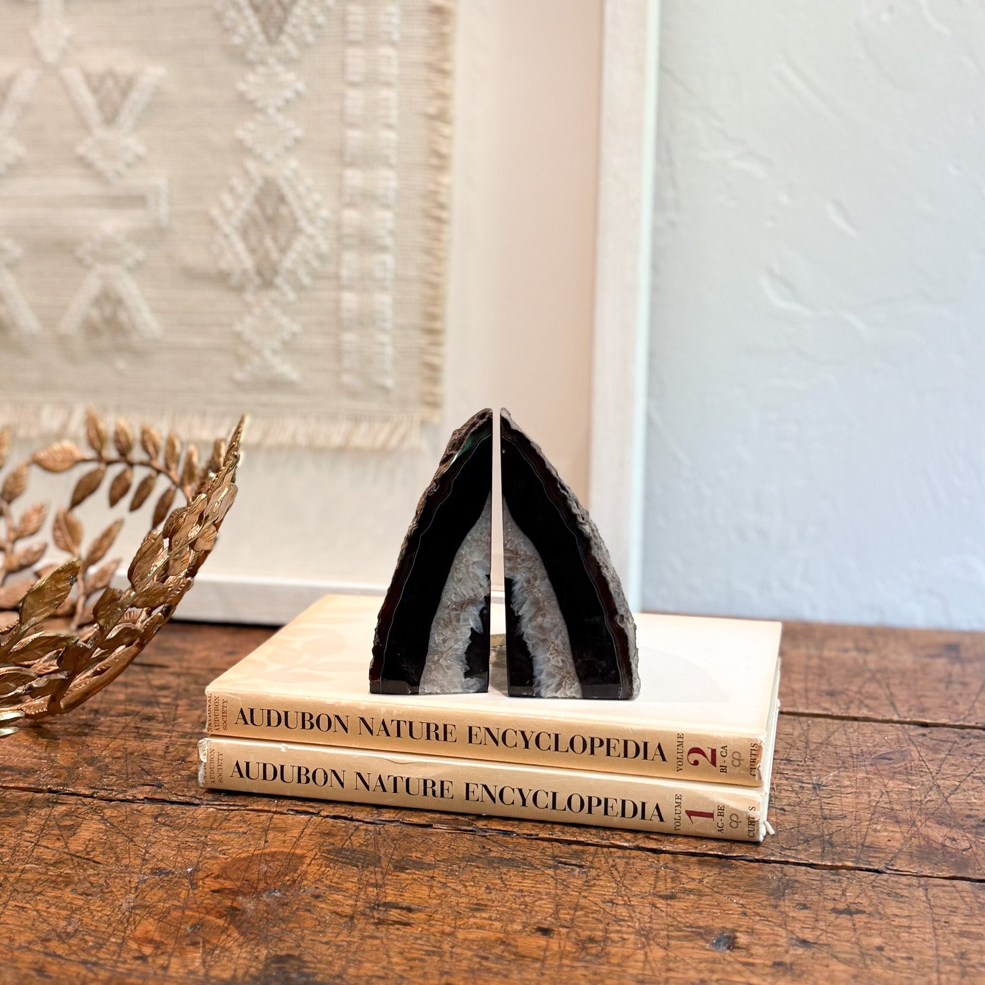 Decorative agate stone on top of two 'Audubon Nature Encyclopedia' books on a wooden surface.