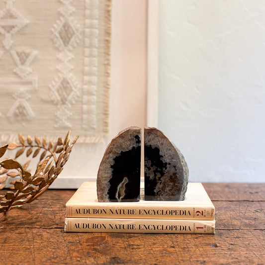 Brown Geode bookends on top of Audubon Nature Encyclopedia books with a decorative plant in the background.