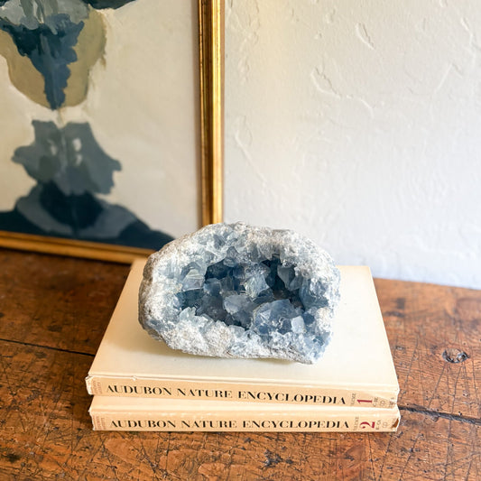 blue Geode crystal on top of two 'Audubon Nature Encyclopedia' books with a framed picture in the background.