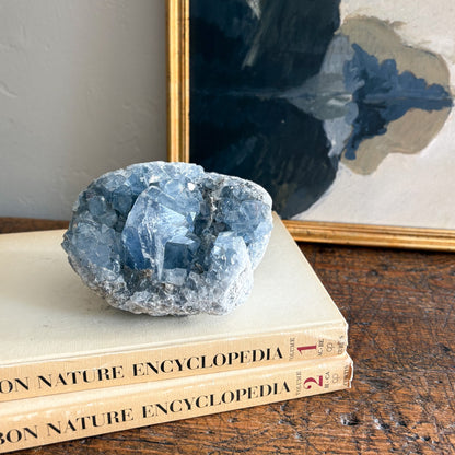 Blue crystal on top of two books titled 'Nature Encyclopedia' with a framed abstract painting in the background.