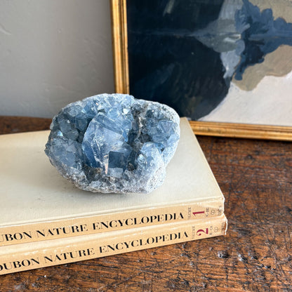 Blue madagascar crystal on top of two books titled 'Nature Encyclopedia' with a framed picture in the background.