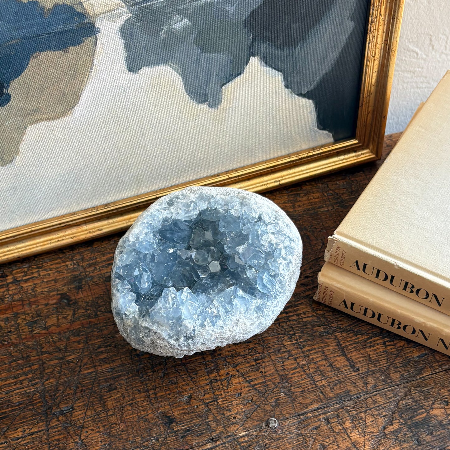 Geode crystal on a wooden surface with Audubon books and a framed map in the background