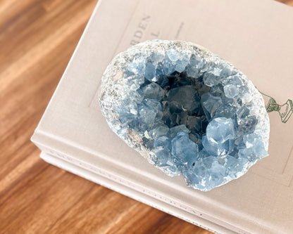 Celestite crystal cluster with natural pale blue crystal points