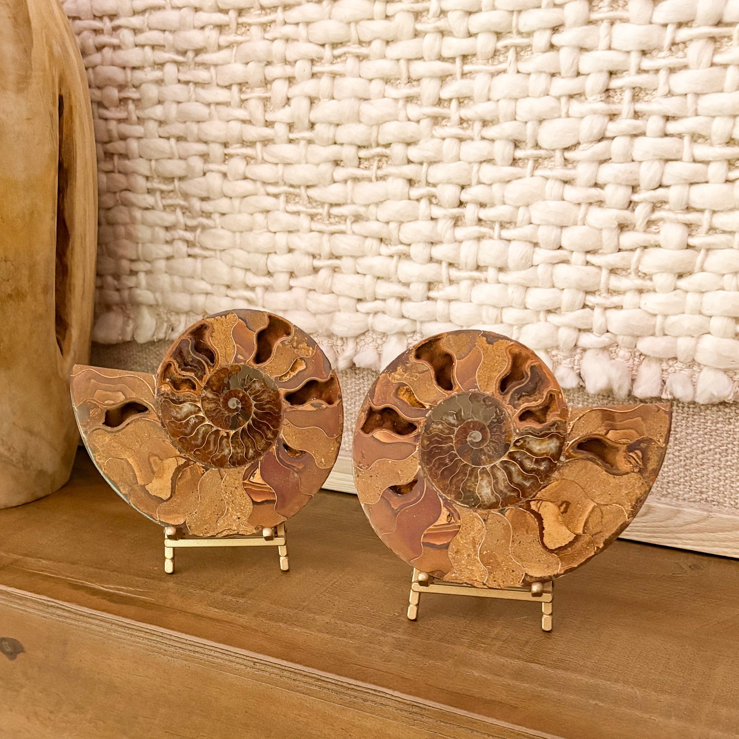 Polished Madagascar ammonite fossil pair displayed on stands with luxury home styling