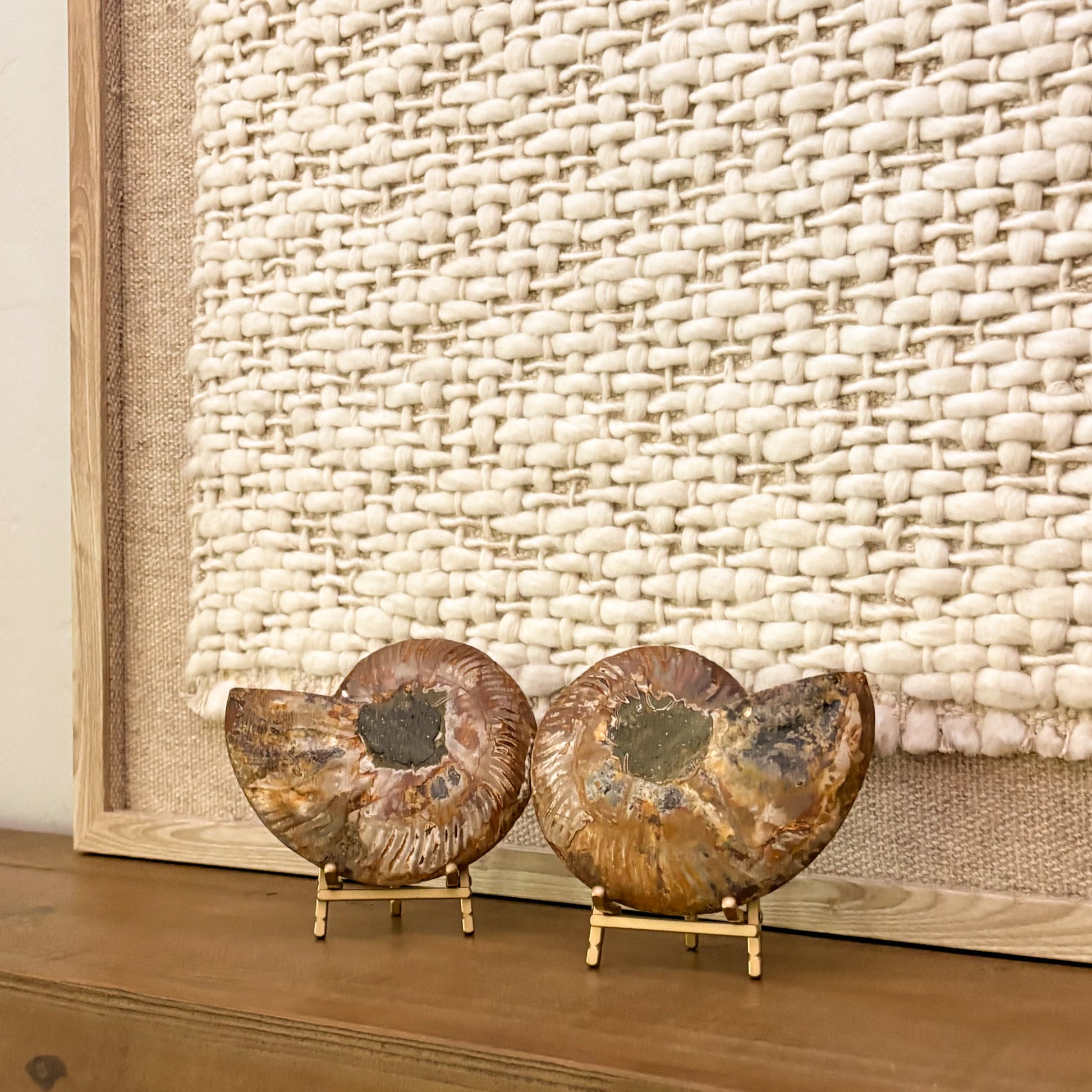 Luxury interior décor with Madagascar ammonite fossil pair on display